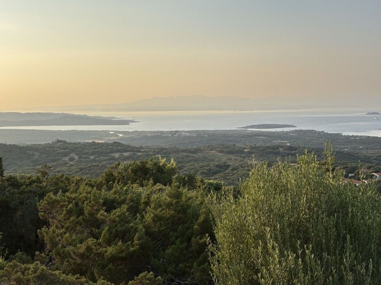 2 rooms House in Palau, Italy No. 264930