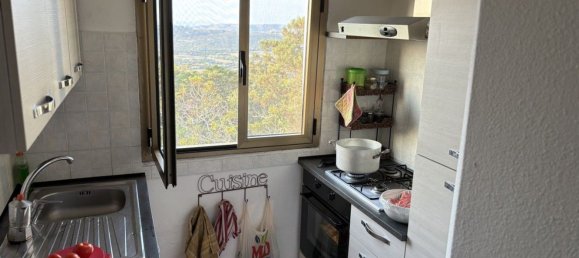 2 rooms House in Palau, Italy No. 264930 11