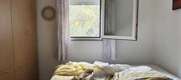 2 rooms House in Palau, Italy No. 264930 12