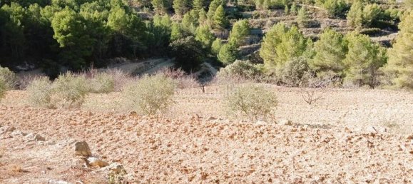 6 Schlafzimmer Haus in Sella, Spain, Nr. 172460 22