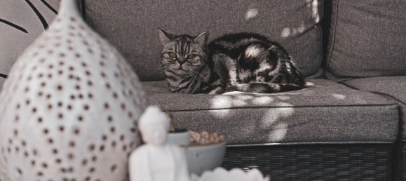 4 bedrooms Townhouse in Mayen-Koblenz, Germany No. 300318 25