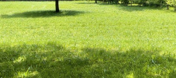 Land in Dornbirn, Austria No. 152711 6