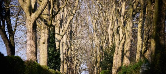 Вилла с 4 спальнями в Везель, Германия № 72590 23