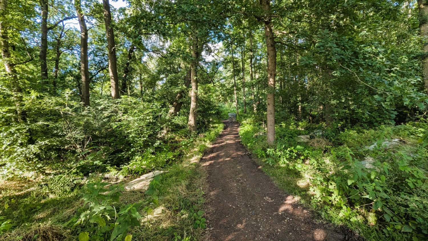 4 rooms Farm in Friesland, Germany No. 223652