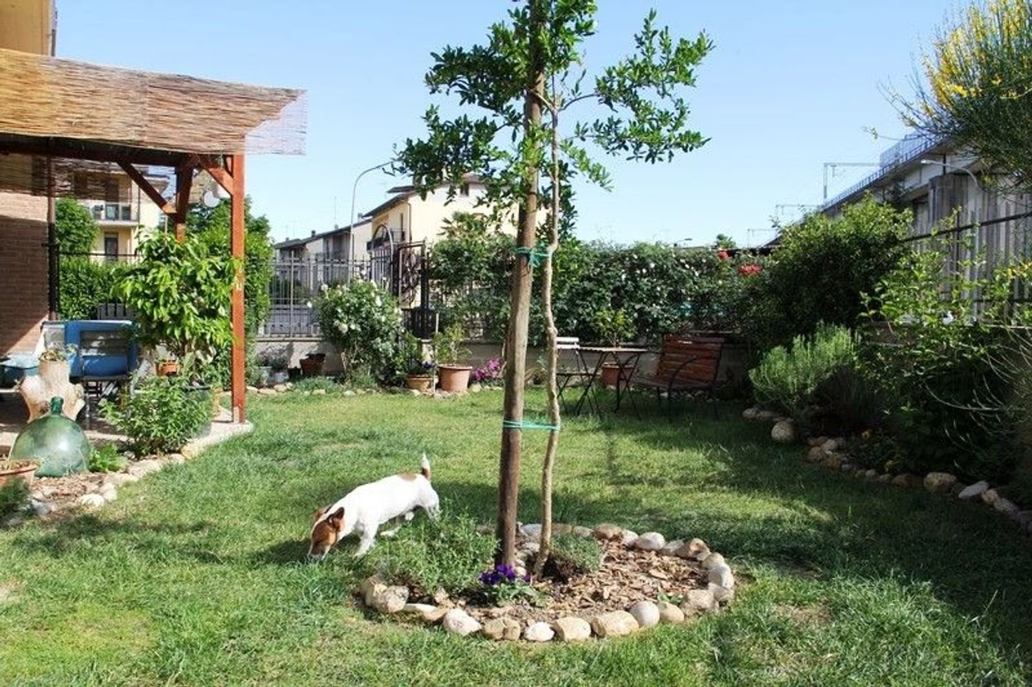 5 rooms Apartment in Allerona, Italy No. 127509