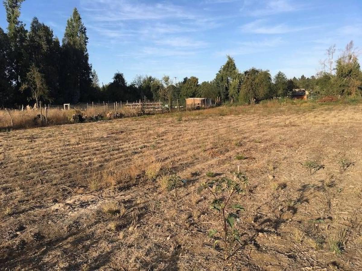  Land in Maule, Chile No. 1297