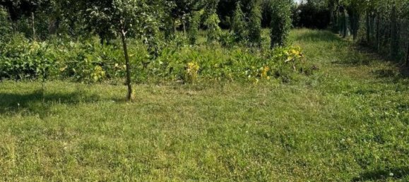 10-Zimmer Haus in Villamarzana, Italy, Nr. 26240 8