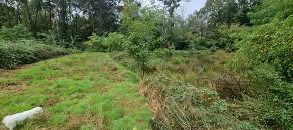 Terreno en Les Bordes, France 7333 m² No. 234448 5