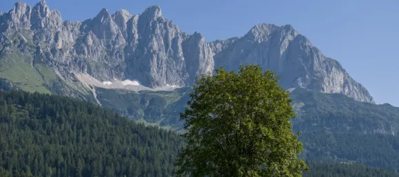  قطعة أرض في Going am Wilden Kaiser, Austria رقم 20820 2