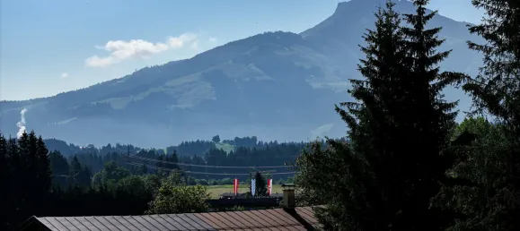  قطعة أرض في Going am Wilden Kaiser, Austria رقم 20820 3