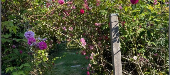 6 bedrooms House in La Guerche-sur-l'Aubois, France No. 273567 4