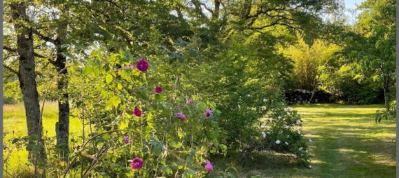 6 bedrooms House in La Guerche-sur-l'Aubois, France No. 273567 3