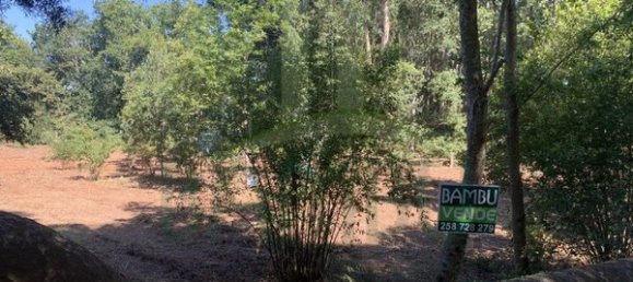 1934m² Land in Seixas, Portugal No. 56307 8