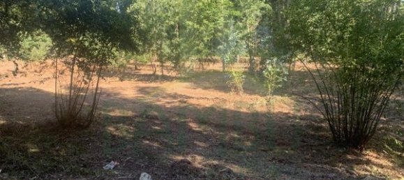 1934m² Land in Seixas, Portugal No. 56307 6