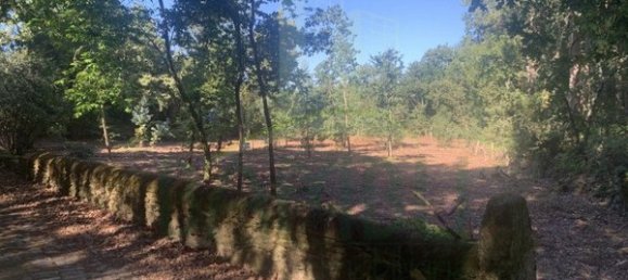 1934m² Land in Seixas, Portugal No. 56307 3
