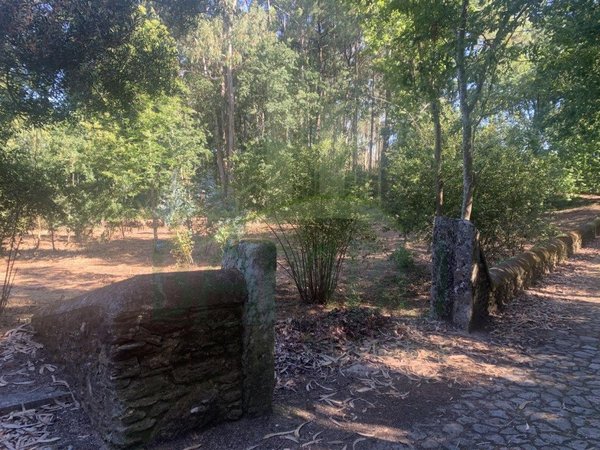 1934m² Land in Seixas, Portugal No. 56307