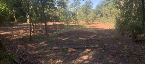 1934m² Land in Seixas, Portugal No. 56307 9