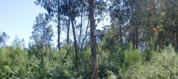 Grundstück in Meinedo, Portugal 7360m², Nr. 59940 4