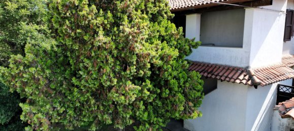 3 bedrooms House in Comacchio, Italy No. 330142 5