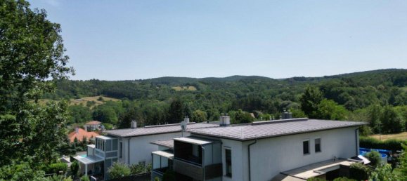 Casa de 3 habitaciónes en Rohrbach near Mattersburg, Austria No. 155934 48