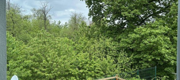 Casa de 3 habitaciónes en Rohrbach near Mattersburg, Austria No. 155934 19