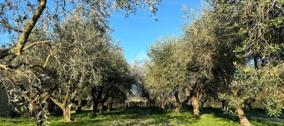 6 bedrooms House in Pistoia, Italy No. 79242 47