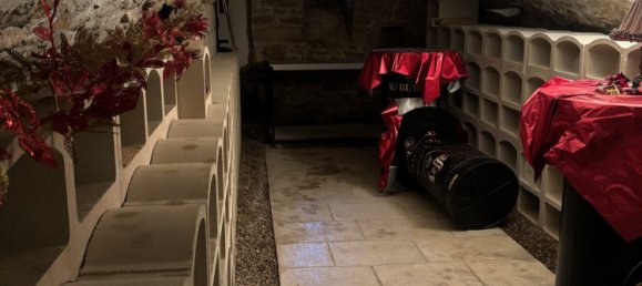 1 Schlafzimmer Gebäude in Sancoins, France, Nr. 74379 2