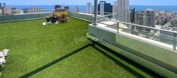 2 chambres Penthouse à Benidorm, Spain No. 172781 5