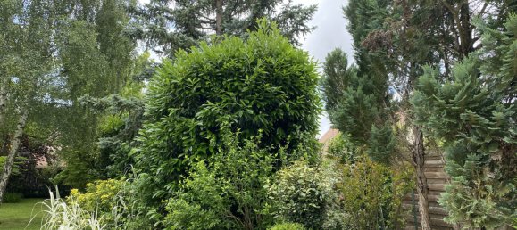 5 chambres Maison à Saint-Jean-le-Blanc, France No. 258428 21