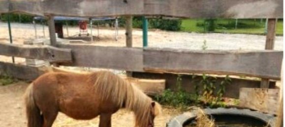 1 Schlafzimmer Bauernhof in Germersheim, Germany, Nr. 269485 6