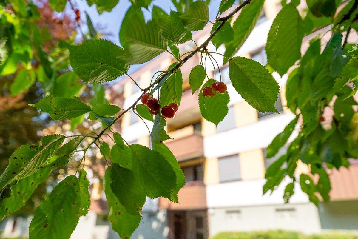 Apartamento de 3 habitaciónes en Salzburg, Austria No. 154211