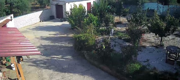 3 bedrooms House in La Carlota, Spain No. 167460 6