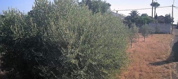 3 bedrooms House in La Carlota, Spain No. 167460 10