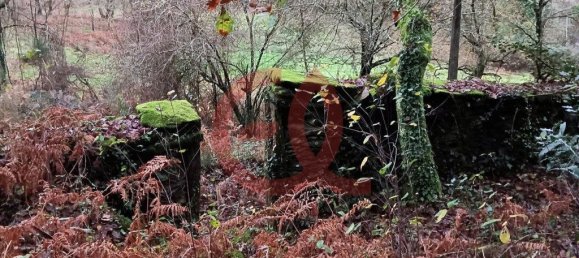 Terrain à Viana do Castelo, Portugal 779m² No. 90515 6