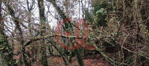 Terrain à Viana do Castelo, Portugal 779m² No. 90515 5