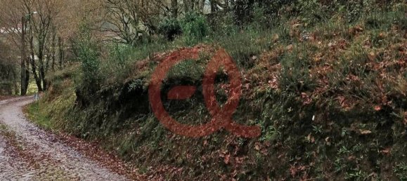 Terrain à Viana do Castelo, Portugal 779m² No. 90515 4