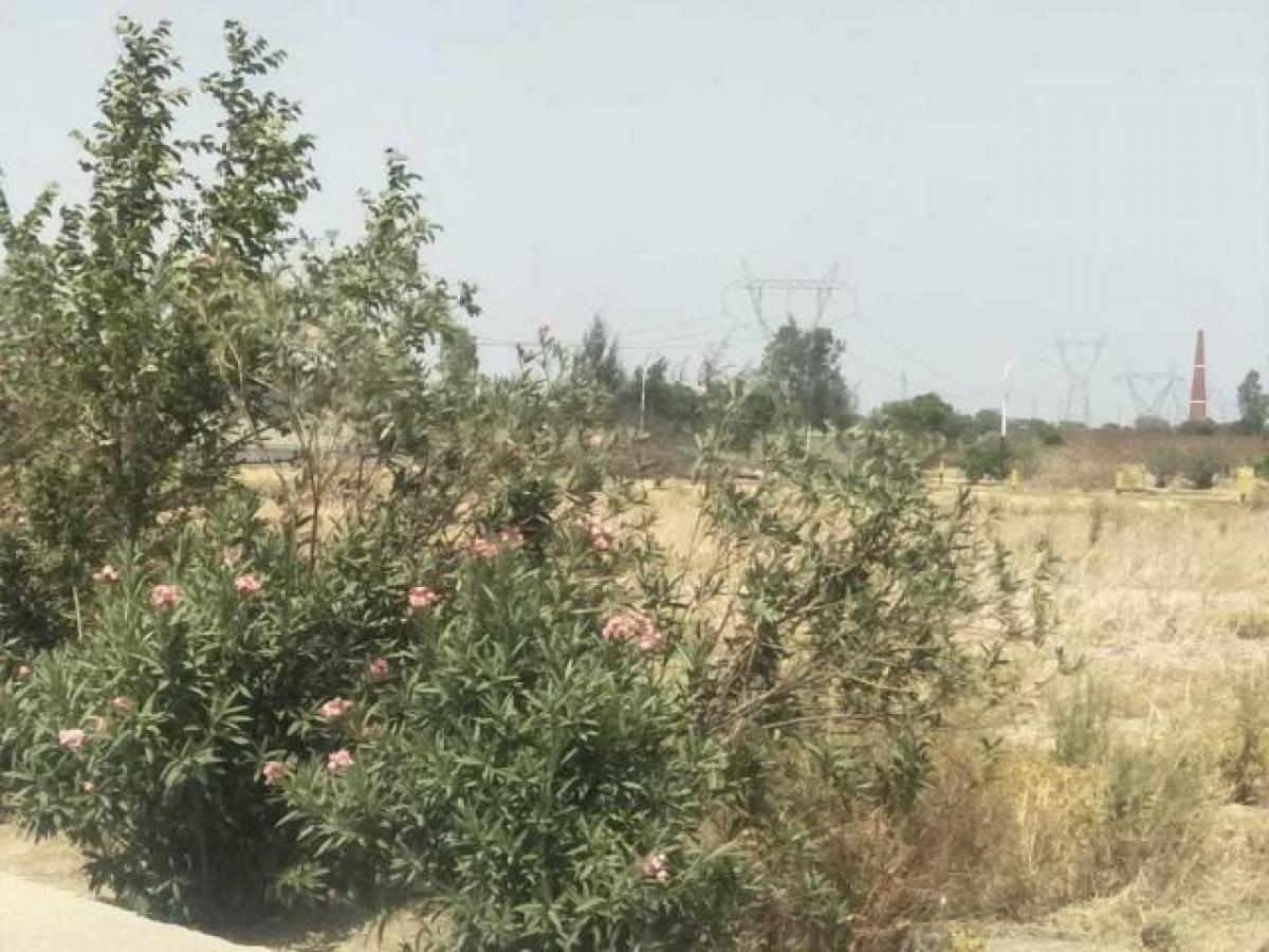 Terreno en Noida, India No. 66135