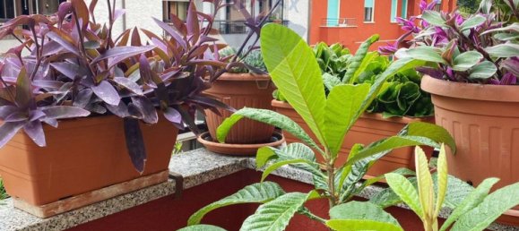 3 bedrooms Apartment in Milan, Italy No. 364253 15