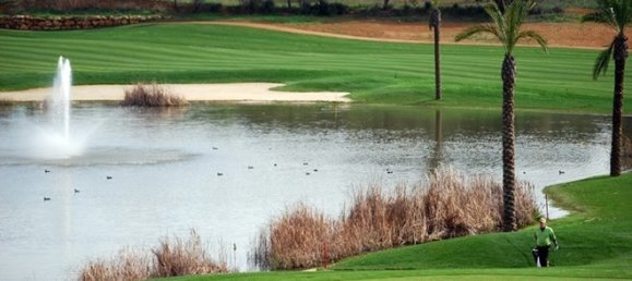  Land in Silves, Portugal No. 126872 6