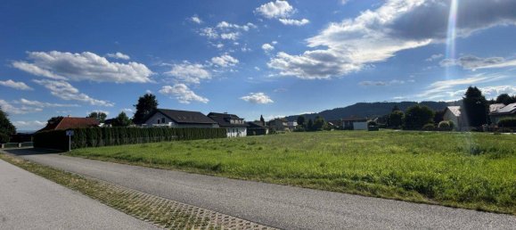 4221m² Land in Leibnitz, Austria No. 162389 3