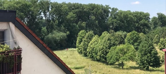 Dúplex de 3 dormitorios en Main-Kinzig, Germany No. 320705 2