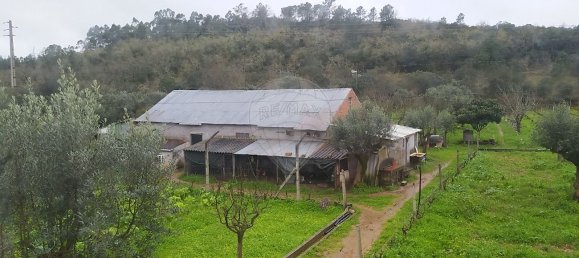 4 Schlafzimmer Schlösser in Alvaiazere, Portugal, Nr. 19151 28
