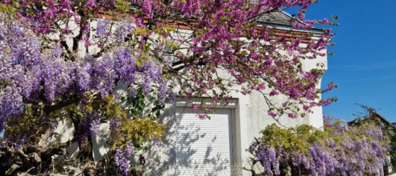 2 bedrooms House in Selles-sur-Cher, France No. 103420 17