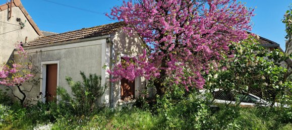 2 bedrooms House in Selles-sur-Cher, France No. 103420 14