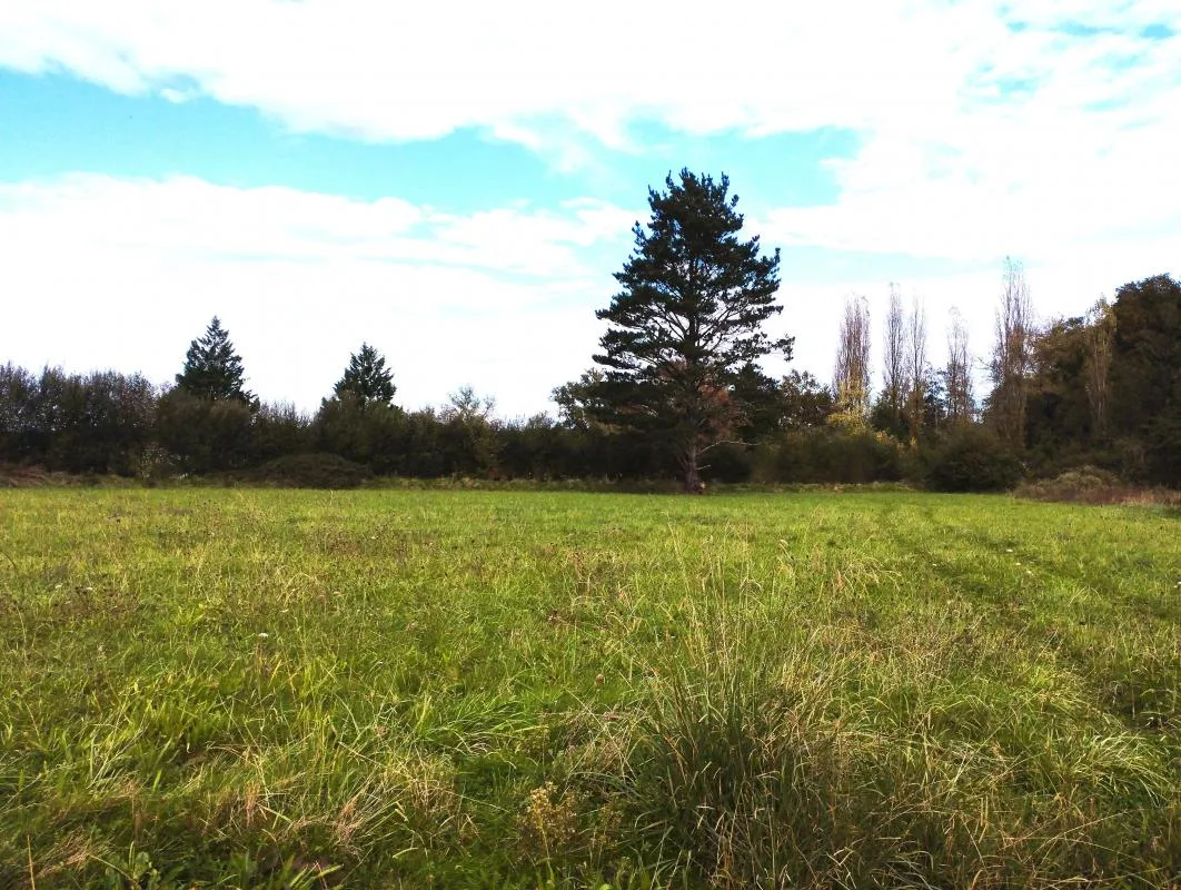 Grundstück in Landes, France 2146m², Nr. 352957