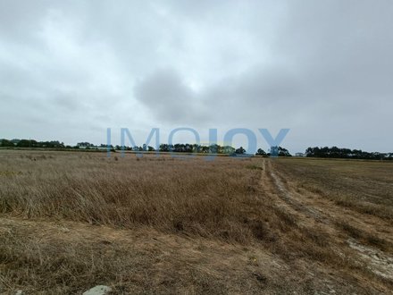 79400m² Land in Sao Teotonio, Portugal No. 52371