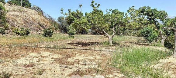 10 Schlafzimmer Haus in Torre del Mar, Spain, Nr. 55037 4