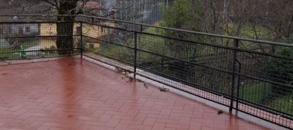 12غرفة منزل في Castel Focognano, Italy رقم 128118 5