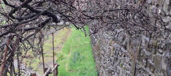 12غرفة منزل في Castel Focognano, Italy رقم 128118 9