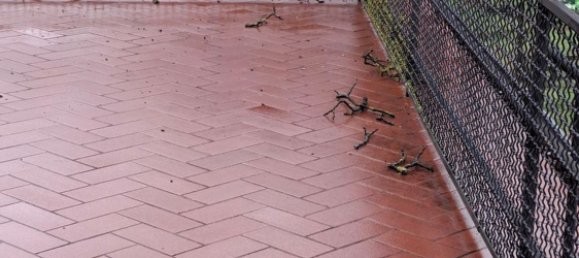 12غرفة منزل في Castel Focognano, Italy رقم 128118 8